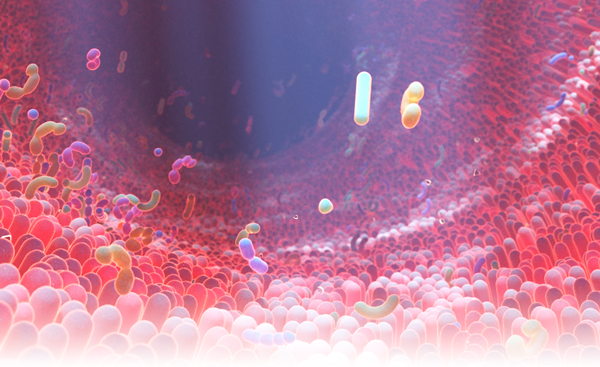 600x367-microbiome-with-fade